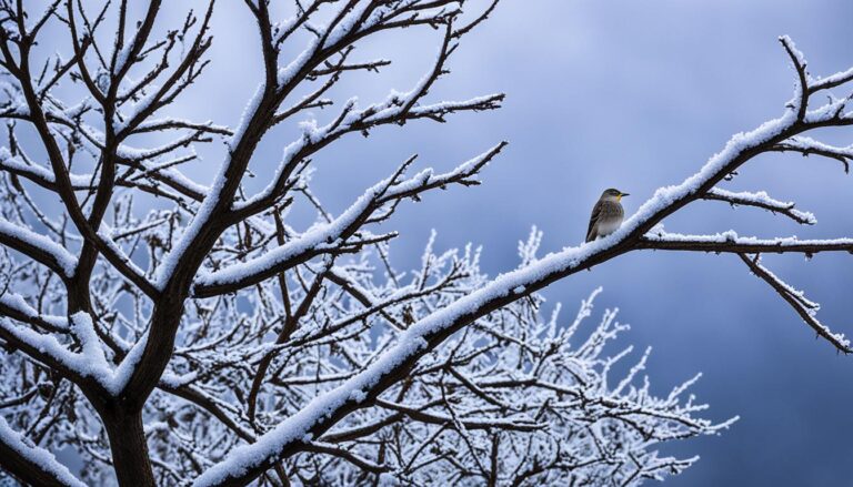 ¿Donde Se Meten Los Pájaros Cuándo Graniza?