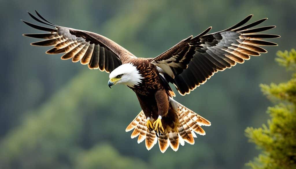 águila imperial ibérica