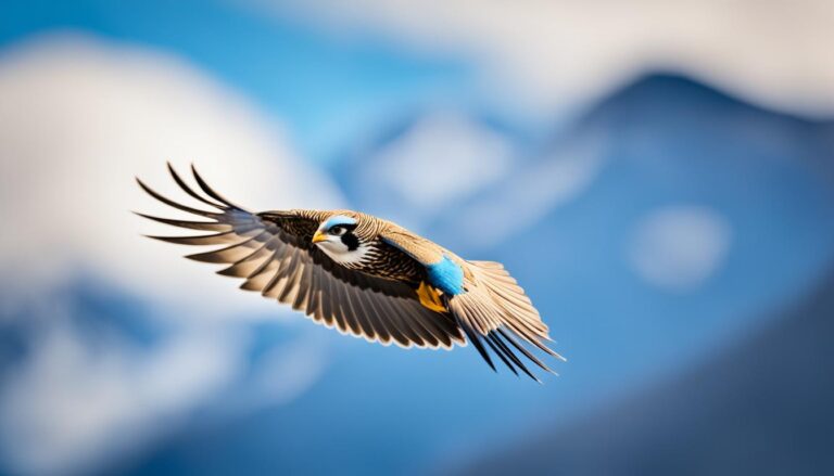 ¿Cómo Fotografiar Pájaros En Vuelo?