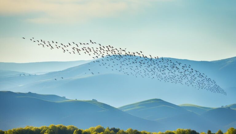 Cual Es La Migracion De Los Pájaros